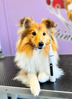 Shine Bright™ | Ultrasone gebitsreiniger voor de hond en kat