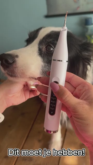 Shine Bright™ | Ultrasone gebitsreiniger voor de hond en kat